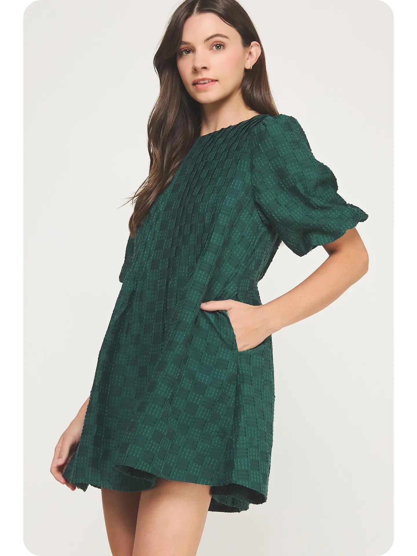 Textured Puff Sleeve Mini Dress