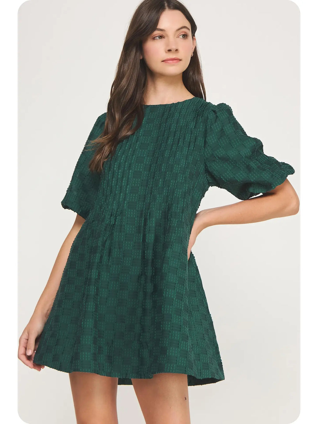 Textured Puff Sleeve Mini Dress